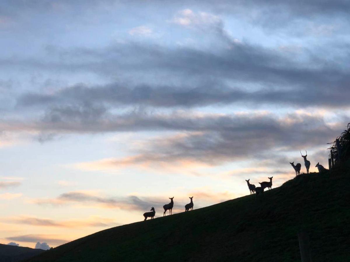 Hilltop Whakaipo Estate Taupo Bagian luar foto