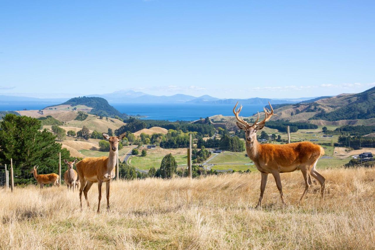 Hilltop Whakaipo Estate Taupo Bagian luar foto