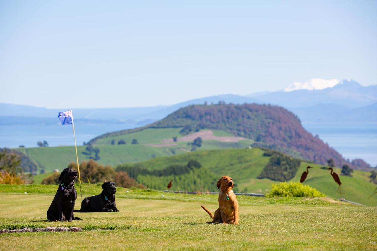 Hilltop Whakaipo Estate Taupo Bagian luar foto