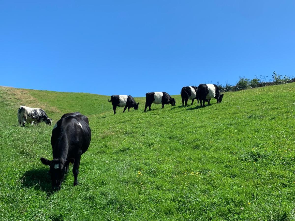 Hilltop Whakaipo Estate Taupo Bagian luar foto