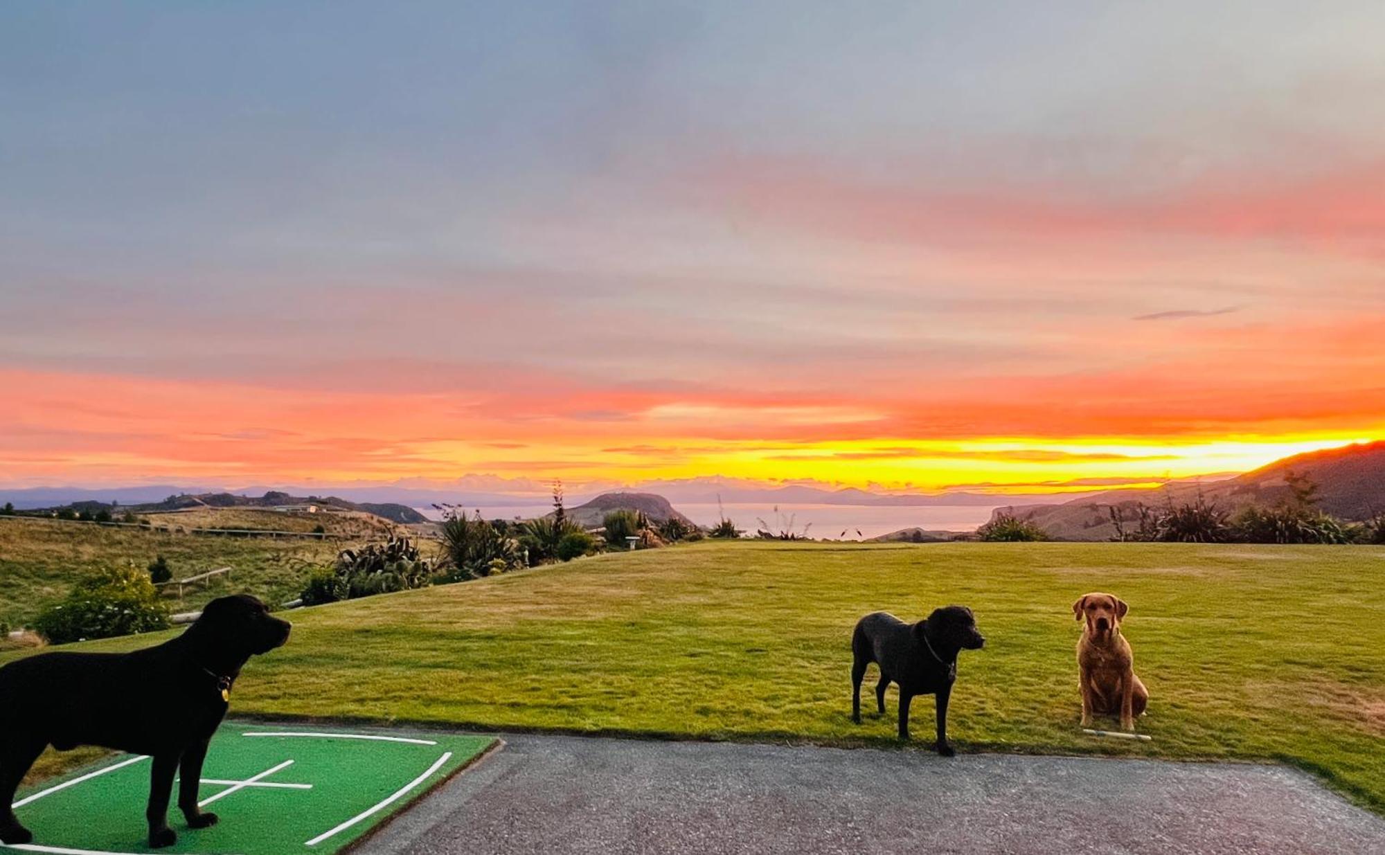 Hilltop Whakaipo Estate Taupo Bagian luar foto