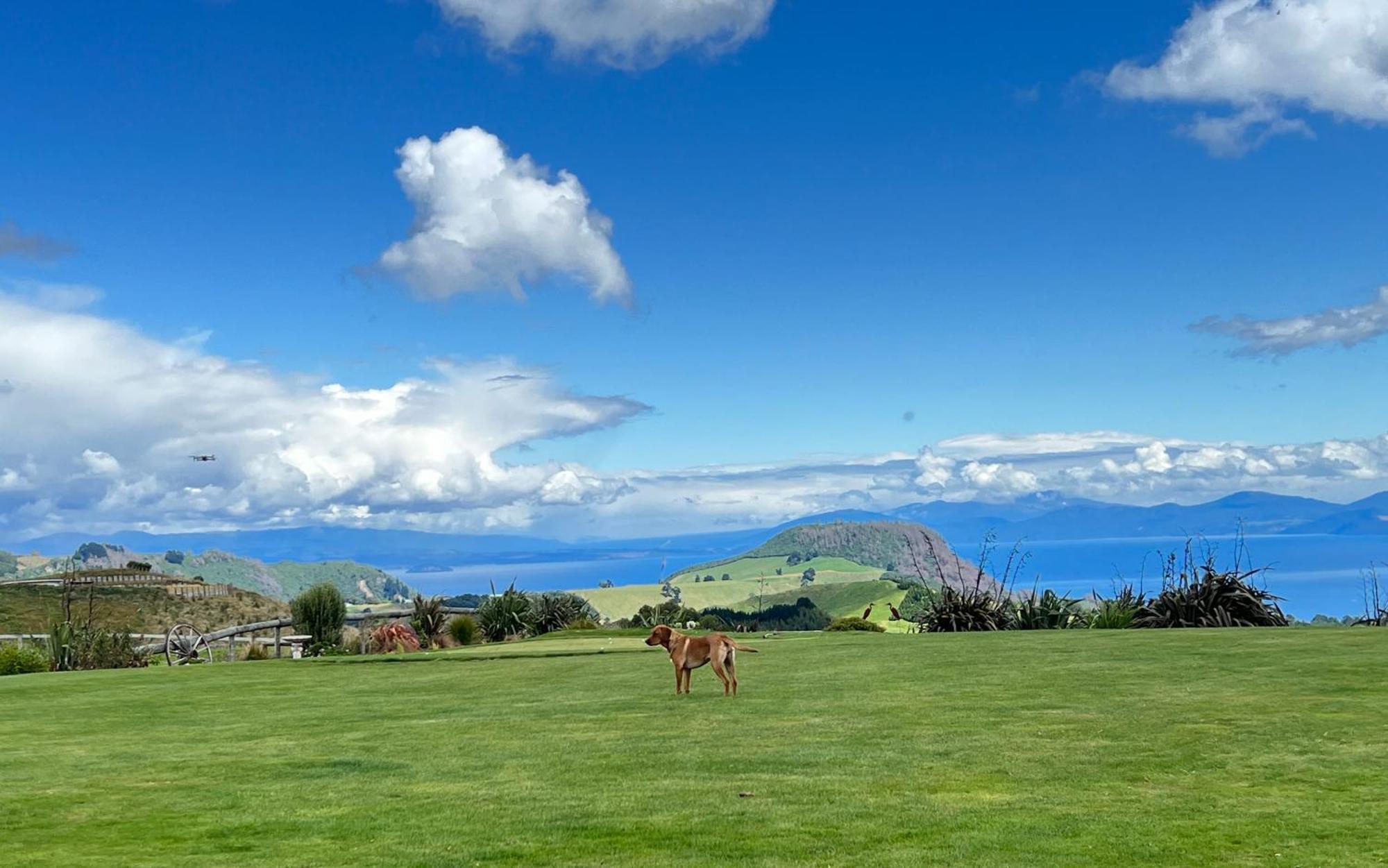 Hilltop Whakaipo Estate Taupo Bagian luar foto