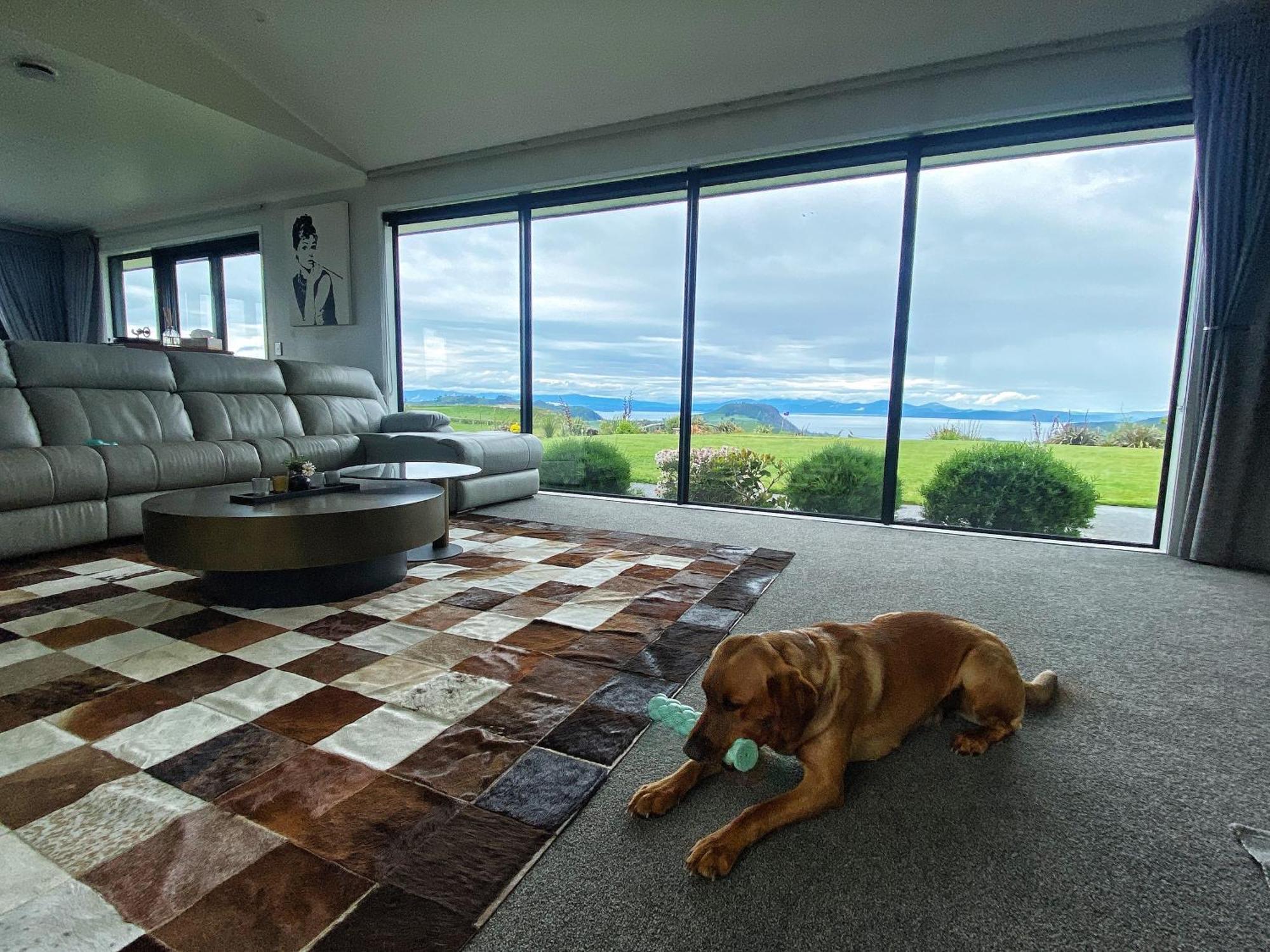 Hilltop Whakaipo Estate Taupo Bagian luar foto