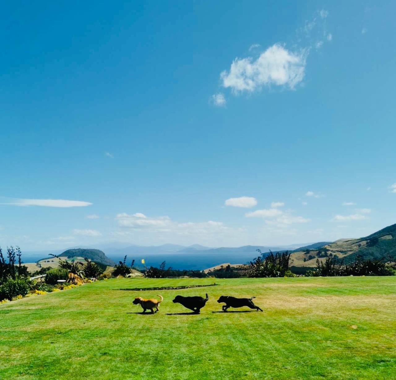 Hilltop Whakaipo Estate Taupo Bagian luar foto