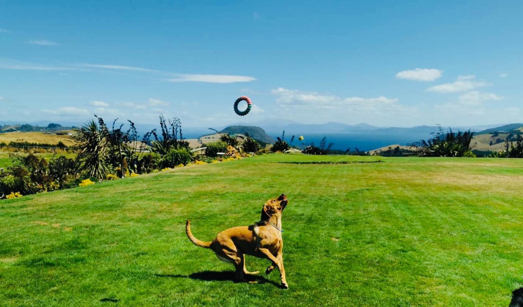 Hilltop Whakaipo Estate Taupo Bagian luar foto